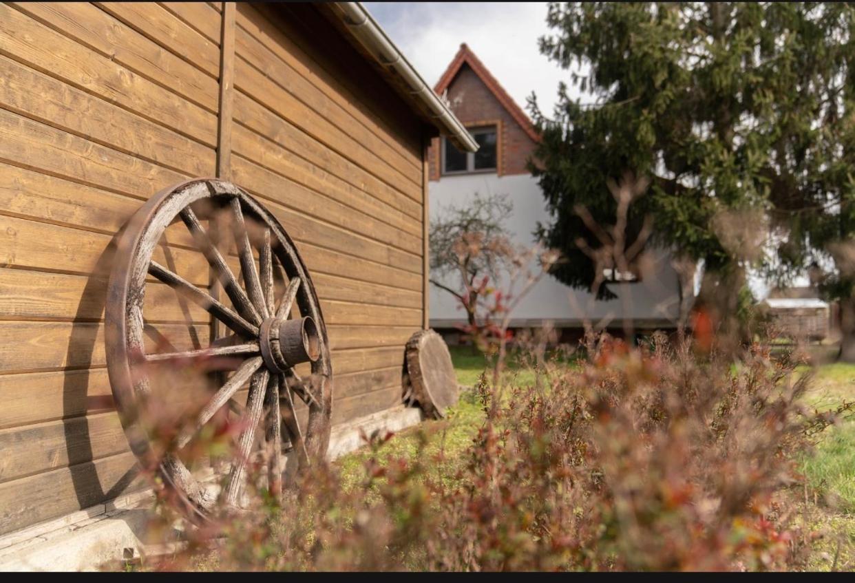 Ferienhaus Leo Boblitz Exteriér fotografie